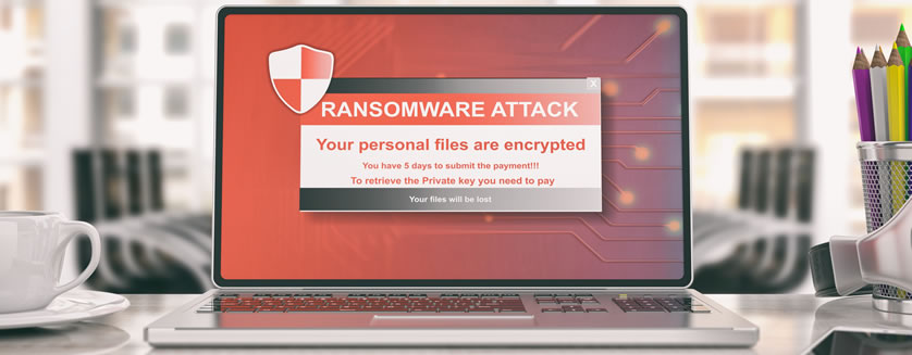 Appraisers and Cybercrimes LIA Administrators and Appraisers and Cybercrimes LIA Administrators and