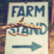 farm stand photo for a real estate appraiser article